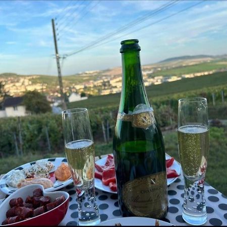 Dans Les Vignes D'Epernay Villa Eksteriør billede