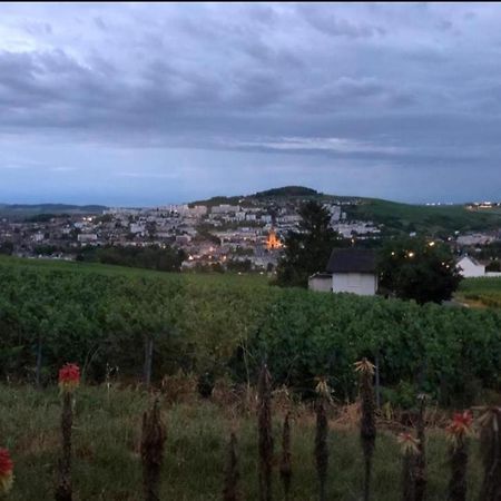 Dans Les Vignes D'Epernay Villa Eksteriør billede