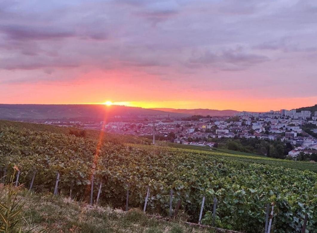 Dans Les Vignes D'Epernay Villa Eksteriør billede