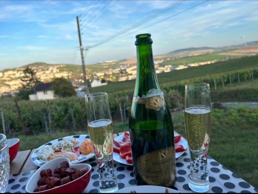 Dans Les Vignes D'Epernay Villa Eksteriør billede