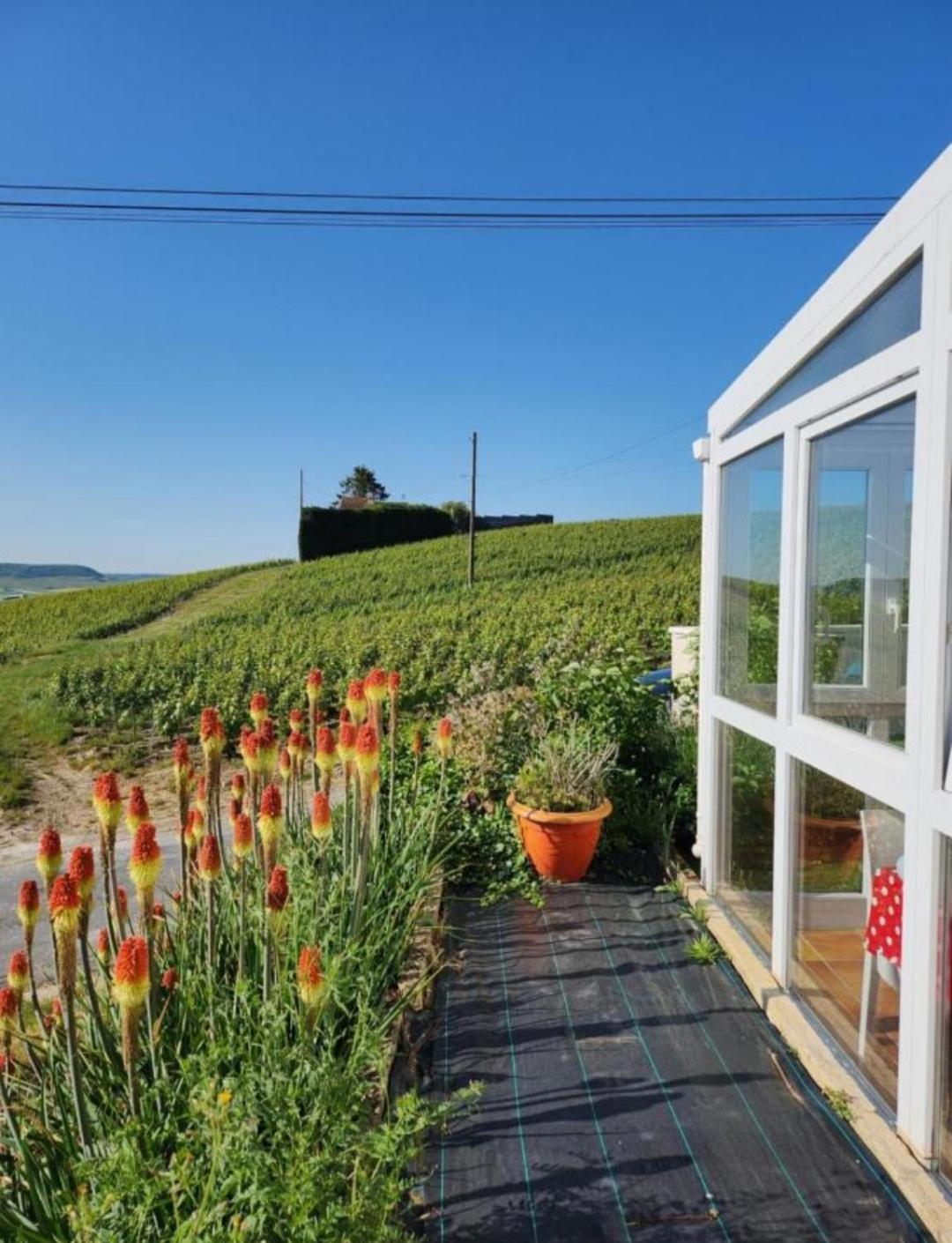 Dans Les Vignes D'Epernay Villa Eksteriør billede