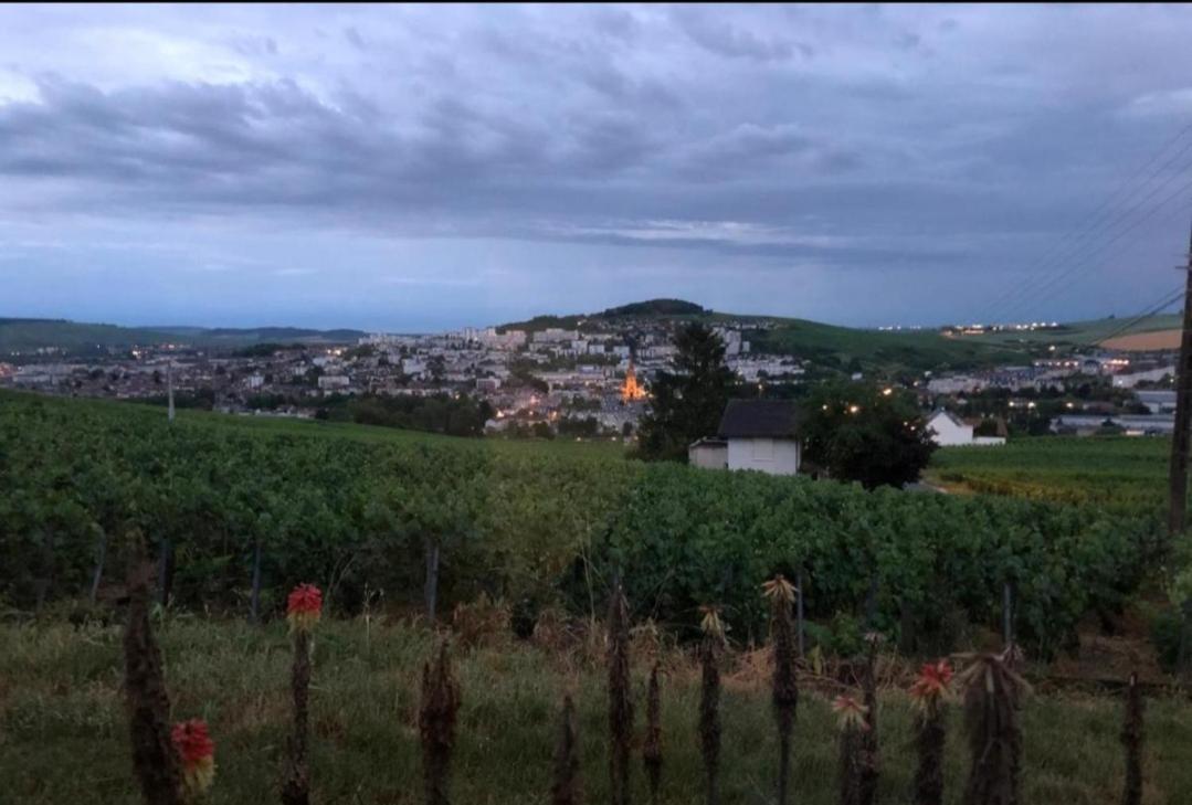 Dans Les Vignes D'Epernay Villa Eksteriør billede